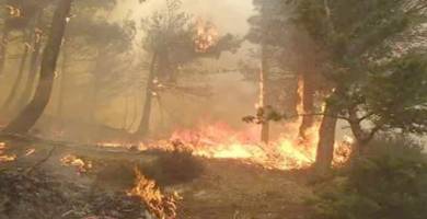 إخماد حريق اندلع في بستان نخيل جنوب الناصرية