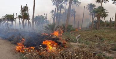 إخماد حريق اندلع بفعل فاعل في بستان نخيل شمال الناصرية 