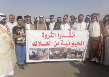 بالصور: العشرات من مربي الجاموس يتظاهرون للمطالبة بالاهتمام بواقع الثروة الحيوانية
