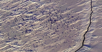 صور التقطها أقمار اصطناعية عن 11 مستعمرة لم تكن معروفة من قبل للبطريق (من الارشيف).