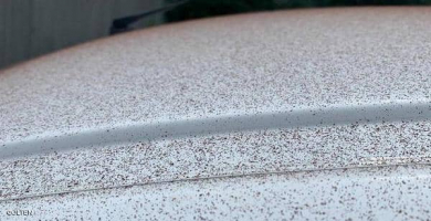 غبار الكاكاو علي اسطح السيارات(من الارشيف).