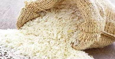 مادة الرز (من الارشيف).