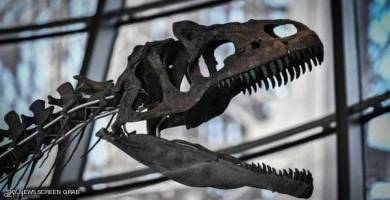 أخيرا.. علماء يكتشفون "قاتل الديناصورات"