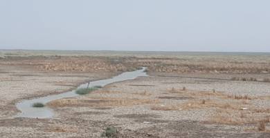 بالصور: قسوة الجفاف تُعري الجبهة الغربية لهور الحمَّار