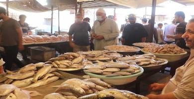 أسعار السمك والدجاج الحي ترتفع للضعف في أسواق الناصرية 