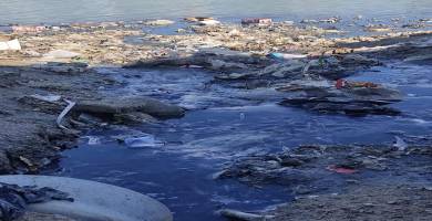 بيئة ذي قار: تلوث نهر الفرات في سوق الشيوخ بمياه المجاري والملوثات السائلة