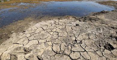 البيئة: شح المياه تسبب بكارثة للتنوع الإحيائي في الأنهار والأهوار