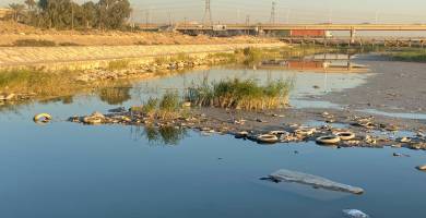 بالصور: انخفاض منسوب نهر الفرات في مدينة الناصرية