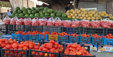 بينها الطماطم والرقي.. الزراعة تعلن تصدير 6 محاصيل إلى دول الخليج