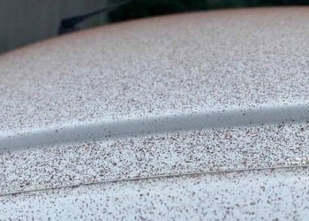 غبار الكاكاو علي اسطح السيارات(من الارشيف).