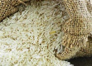مادة الرز(من الارشيف).