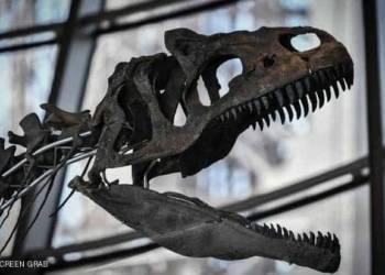 أخيرا.. علماء يكتشفون "قاتل الديناصورات"
