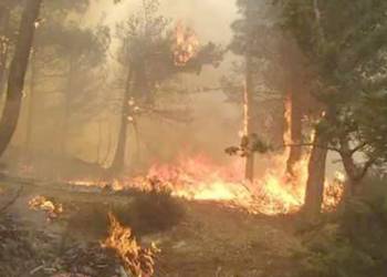 إخماد حريق اندلع في بستان نخيل جنوب الناصرية