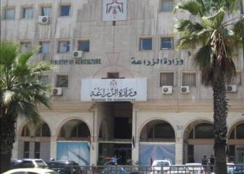 وزارة الزراعة توافق على تزويد مربي الجاموس في ذي قار بمادة النخالة