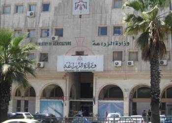 وزارة الزراعة توافق على تزويد مربي الجاموس في ذي قار  بمادة النخالة 