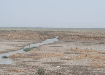 بالصور: قسوة الجفاف تُعري الجبهة الغربية لهور الحمَّار