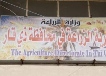 تقليص خطة ذي قار الزراعية الى نصف حصتها من العام الماضي