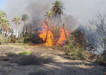 إخماد حريق اندلع بفعل فاعل في بستان نخيل شمال الناصرية