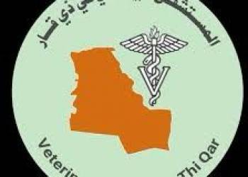 اذاعة الناصرية: المباشرة بمحاسبة الجزر العشوائي للحد من عدوى الحمى النزفية