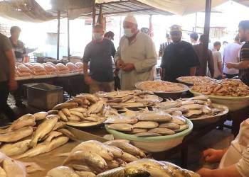 أسعار السمك والدجاج الحي ترتفع للضعف في أسواق الناصرية