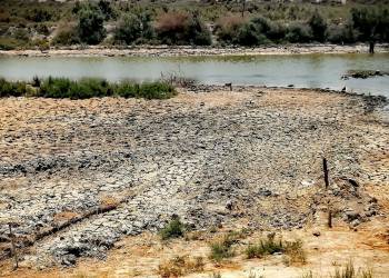 بالصور: حركة الزوارق في اهوار الجبايش باتت صعبة مع انخفاض منسوب المياه