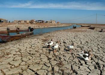 هجرة قرابة 400 عائلة شرق الناصرية بسبب شحة المياه