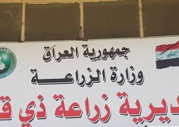 زراعة ذي قار توفُّر أعلاف مدعومة للدواجن