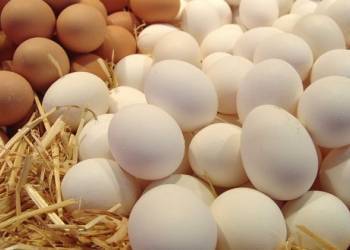 ‏ارتفاع أسعار "بيض المائدة" في اسواق الناصرية  