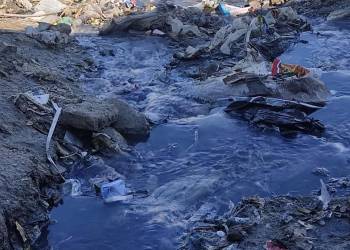 بيئة ذي قار: تلوث نهر الفرات في سوق الشيوخ بمياه المجاري والملوثات السائلة